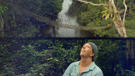 Apenbrug en de wandelende tak